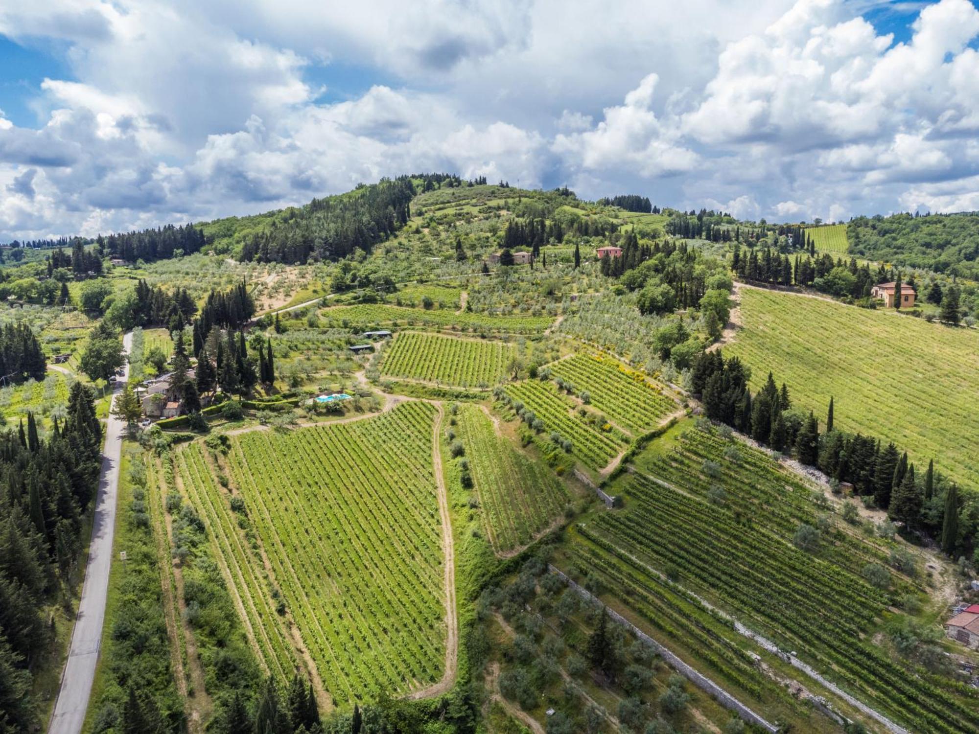 Holiday Home San Rocco-1 By Interhome Greve in Chianti Zewnętrze zdjęcie